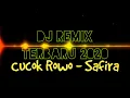 Download Lagu Lagu DJ Remix Terbaru | Cucok Rowo - Safira