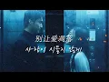 Lagu 요즘 틱톡에서 계속 들리는 노래 my love..🎧 | 别让爱凋落 (사랑이 시들지 않게) 가사해석 don't let me love fade away