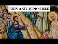 John 11 NIV BIBLE with text