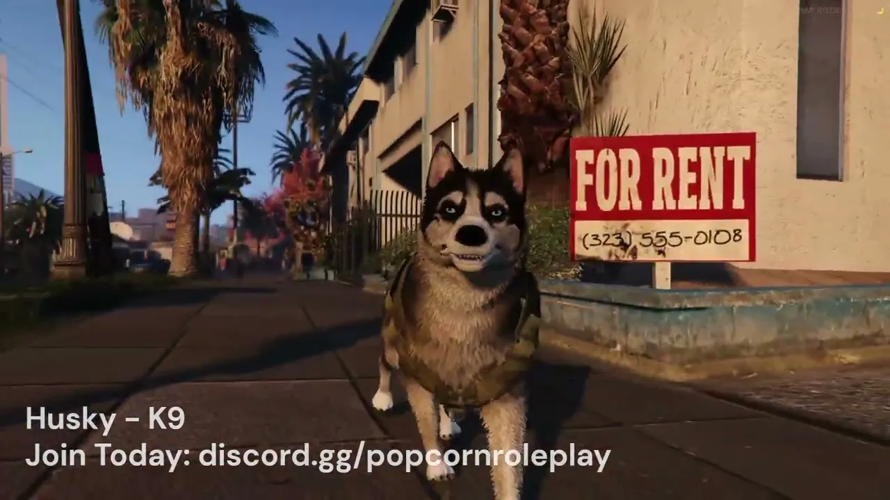 K9 Unit Package
