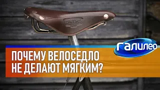 Галилео 🚴‍♂ Как инженеры определяют идеальную форму велосипедного седла?