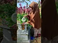 Download Lagu Bismillahirrahmanirrahim Jiarah dulu ya karna kangen Orang Tu semoga Husnul Hotimah aminnn yra