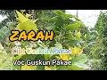 Lagu ZARAH  VOC GUSKUN PAKAE OFFICIAL