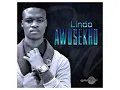 Download Lagu Mlindo The Vocalist -Awusekho