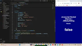 JavaScript Nested Objects Tutorial JS Babysitting Part 29
