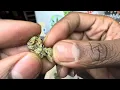 Good day farm Gas Truffles review