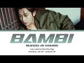 Download Lagu Enhypen Sunoo AI cover BAMBI by BAEKHYUN