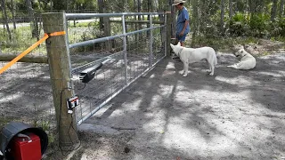Mighty Mule MM271 gate opener howididit