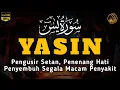 Lagu Surah Yasin Pengusir Setan dan Penyembuh Segala Macam Penyakit, Ngaji Merdu | By : Alaa Aqel