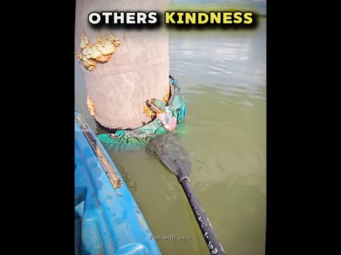 Other saving animal vs this guy ❤️