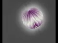 3D Rotating Sphere Animation HTML CSS