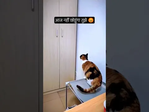 आज नहीं छोड़ूंगा तुझे 😡🫵🤣| gsn comedy shorts #shorts #ytshorts #gsncomedy