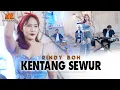 Download Lagu Rindy BOH - Kentang Siwur (Official Music Video)