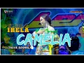 Download Lagu TASYA ROSMALA -- PEMUDA IRELA -- CAMELIA COVER LENTERA MUSIK