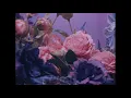 MV【和訳 日本語字幕】Lazy (feat. JAEHA 재하) - Soovi(수비)