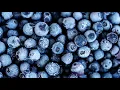 Publix blueberry recall
