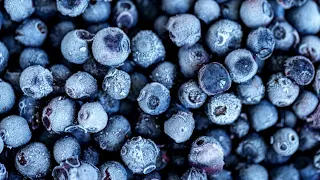 Publix blueberry recall