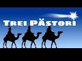 Trei Pastori Se Intalnira | Instrumental | Karaoke | Negative Colinde