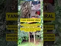 Download Lagu Yang lagi viral#lagiviral #trending #beritaviral #trending #shortsviral #shorts #youtubeshorts