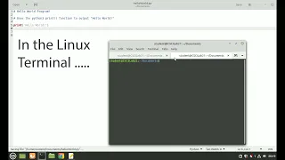 How to Write a Hello World Program in Python 3 - Linux Mint