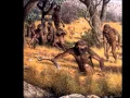 Australopithecus Robustus