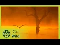Download Lagu A Southern Winter - Go Wild