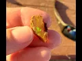 Royal Peacock Opal Mine - Let s Go Dig