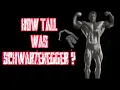Unveiling Arnold Schwarzenegger s Height Fact vs Fiction