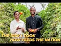 Download Lagu How a Young Zambian Quit His Job to Start Farming with $33 USD \u0026 now Feeds the Nation of Zambia