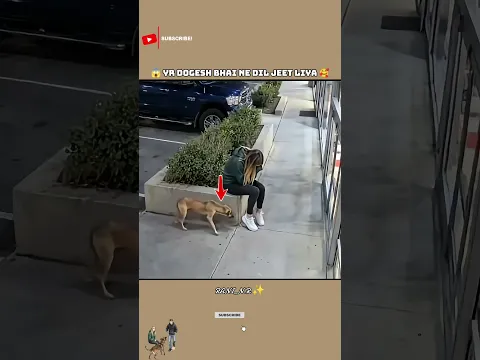 Yr Dogesh Bhai Ne Dil Jeet Liya...😱🥰 | #shorts #doglove #bollywood