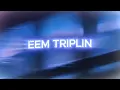 Eem Triplin - If I Wanted To (Lyrics)