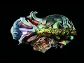 Röyksopp - 'Feel It' ft. Maurissa Rose (Official Visualiser)