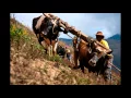 Download Lagu Musica campesina mix + los serranitos 5