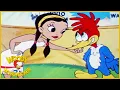 Lagu Scalp Treatment | Woody Woodpecker | Old Cartoon | Woody Woodpecker Full Episodes | Videos for Kid