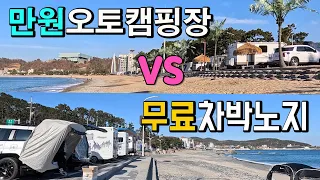 울산 주전몽돌해변 경주 관성솔밭 해변 1만원 오토캠핑장과 무료 캠핑 차박 성지 축복받은 해변 2곳 비교. 캠핑카 여행지 이국적인 야자수 해변 천혜의 몽돌 해변 차박노지 탐방. 썸네일