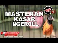 Download Lagu 🔴Canto Pintassilgo Venezuelano - Red Siskin The BEST Song Training 10h❗️