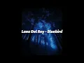 Lana Del Rey - Bluebird (Lyrics)