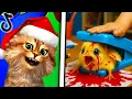 Download Lagu Reacting To The FUNNIEST Videos (TRY NOT TO LAUGH CHALLENGE)