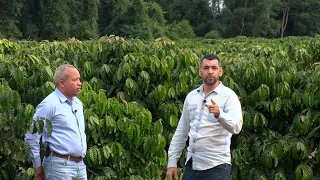 Polli Fertilizantes e o uso da Nanotecnologia no Agronegócio