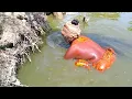 Download Lagu Best Hand Fishing || Amazing Village Woman Catching Big  Fish By Hand In Pond Water | part : 93