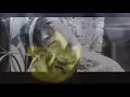 [MGL SUB] BIGBANG (빅뱅) - FLOWER ROAD
