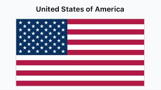How to make USA flag in python turtle