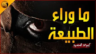ما هو الصندوق الأزرق و ما علاقة النادل بإختفاء البنات الراوي 