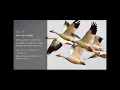 Download Lagu Día 18- Reto de Meditación Creando Abundancia. Deepak Chopra (SIN COMERCIALES)