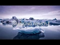 Download Lagu Samsung Whistle