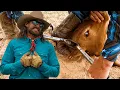 Why We Dehorn Our Cows Full Day Of Ranchin