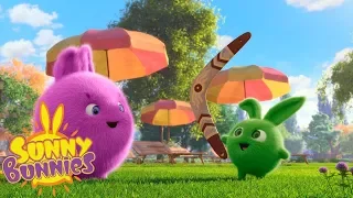 cartoons for children sunny bunnies boomerang funny cartoons for children