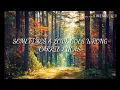 Lagu SOMETIMES A LOVE GOES WRONG - CARRIE LUCAS
