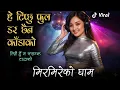 Lagu Tipxu Fula Dar Xaina Kadako TikTok Viral || Mirmire KO Gham full ai Song || New Nepali song MeGYaN