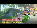 Download Lagu Pasar Terpencil Tepian Hutan Pedalaman Ngawi